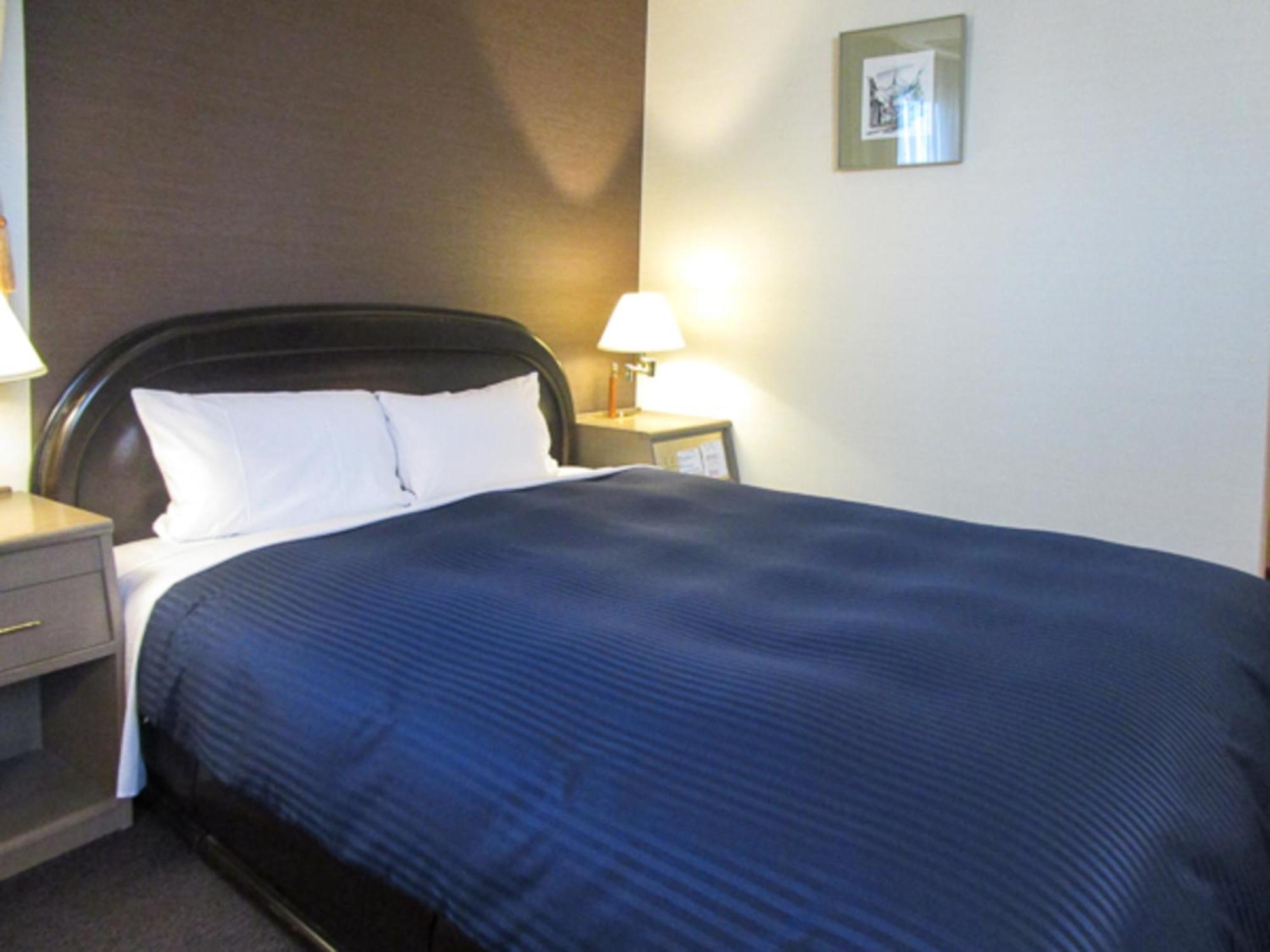 HOTEL LiVEMAX BUDGET SAPPORO Sapporo Eksteriør billede